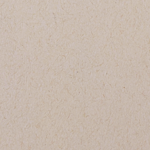 Kraft paper texture