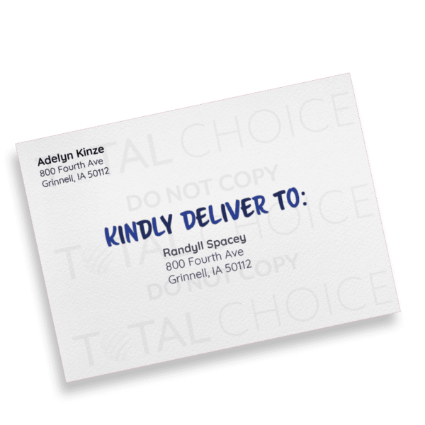 Colorful Delivery - Image 5
