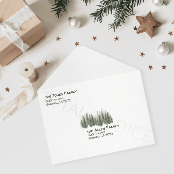 Foggy Fir