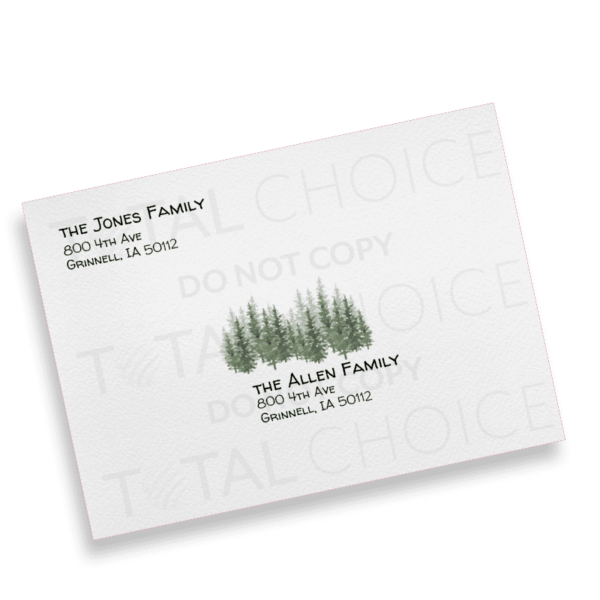 Foggy Fir - Image 2