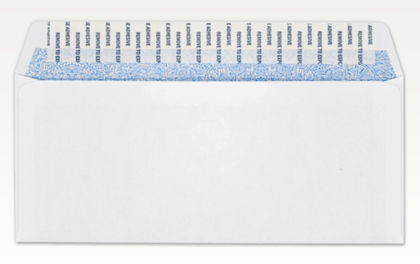 #10 Envelopes Security